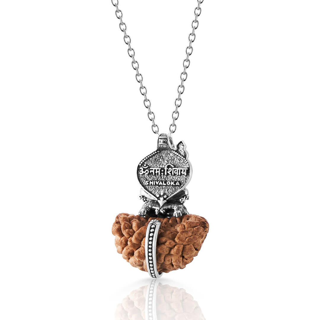 Shiva 1 Mukhi Rudraksha pendant (silver) 2