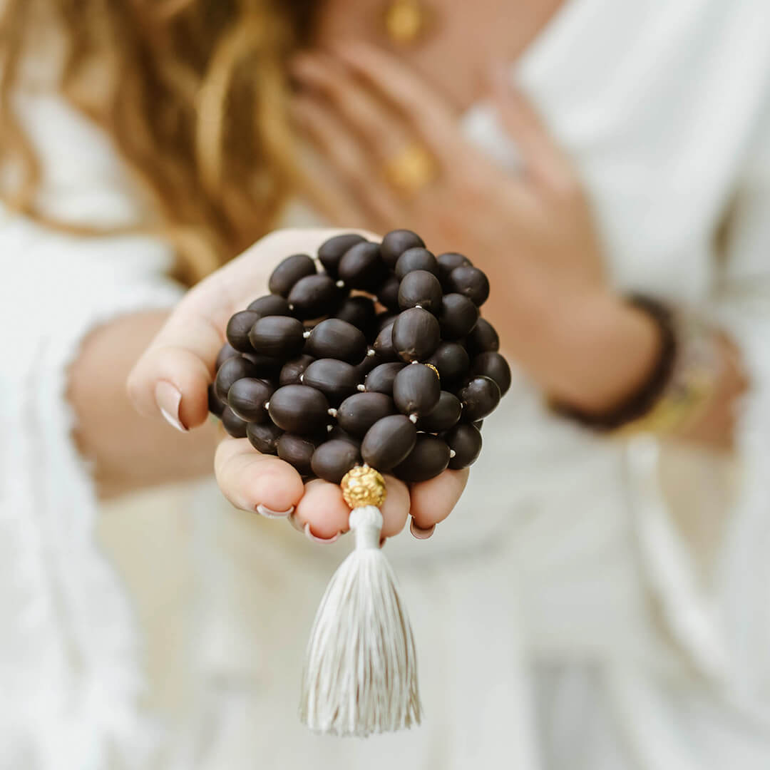 Lotus Dhyana Ash 72 – 10