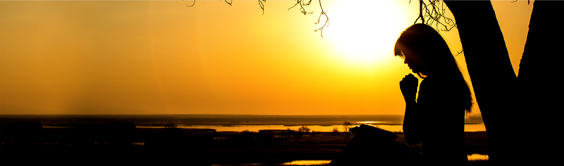 The Re-Awakening  of the Divine Feminine