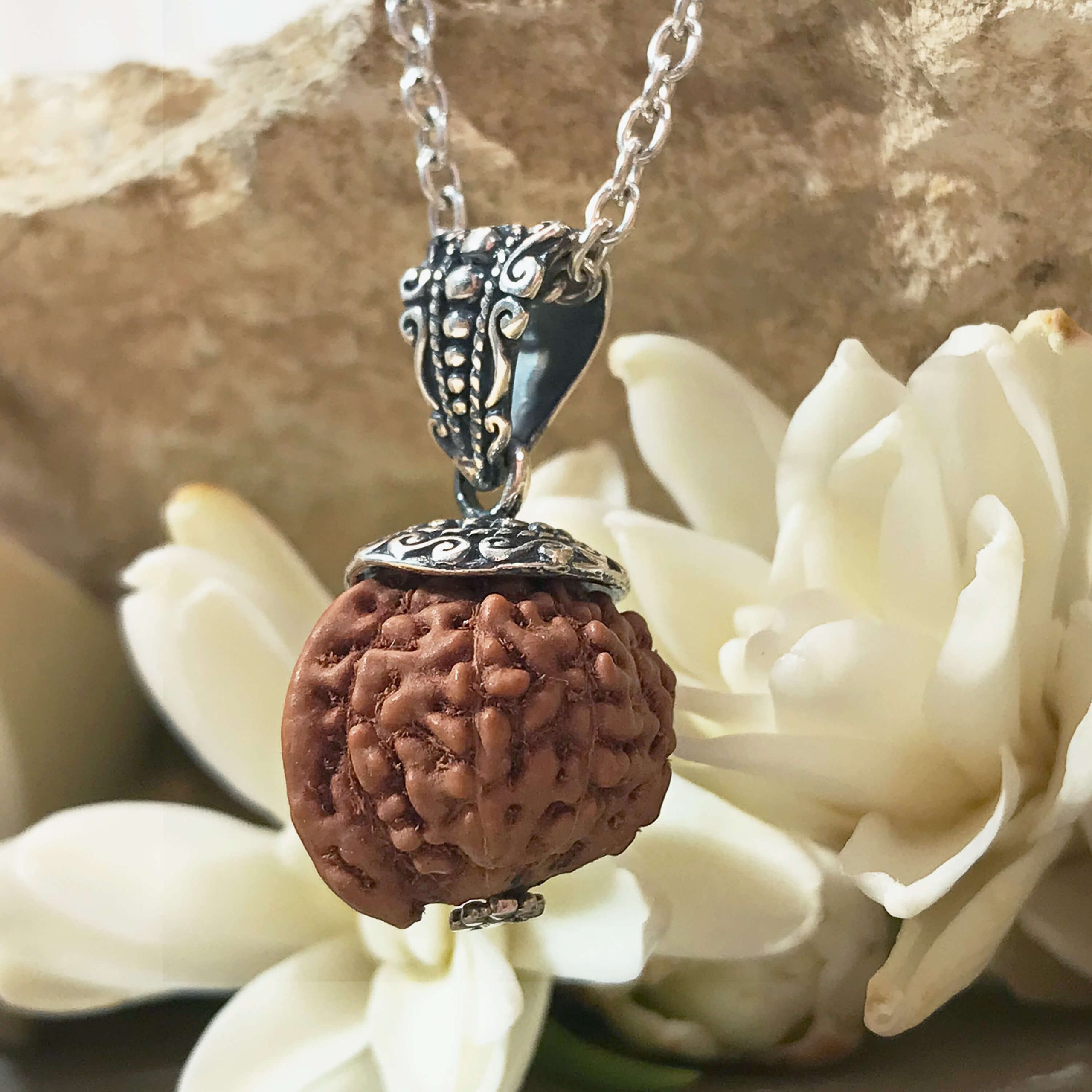 Ganesh Mukhi silver 1