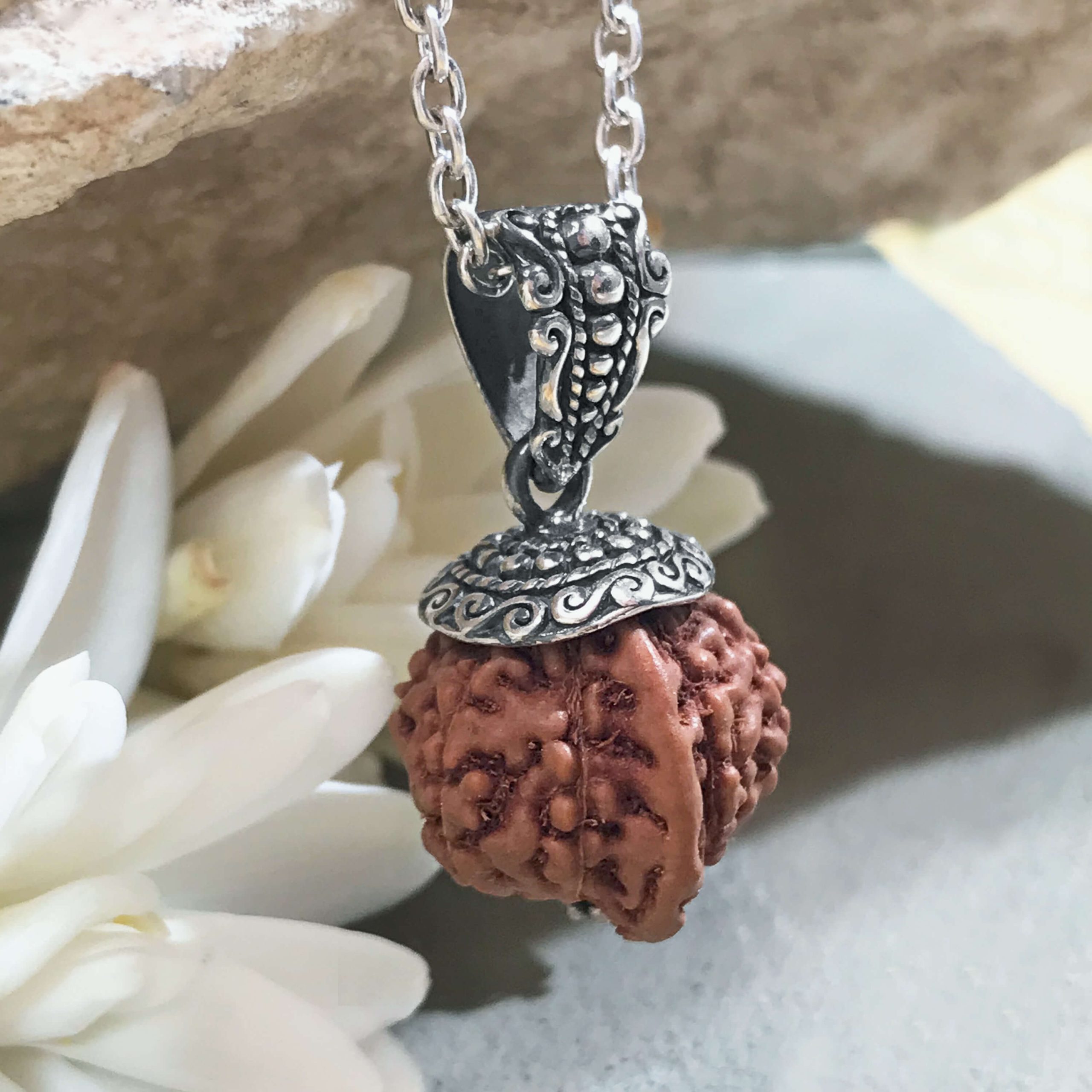 Ganesh Mukhi silver 2